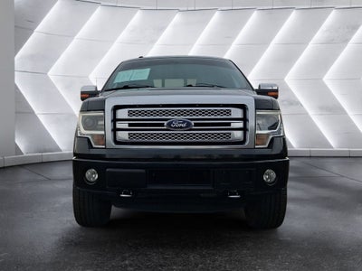 2014 Ford F-150 Platinum