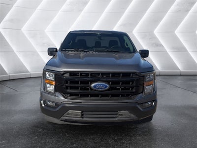 2023 Ford F-150 XL FP 700!!!