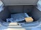 2025 Mazda Mazda3 2.5 Turbo Premium Plus Package